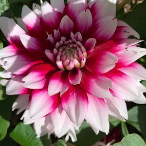 Meet your Posher, Janet